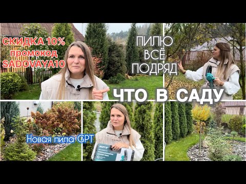 Видео: Тестирую цепную пилу GPT GBC-M1204A-22. Скидка 10% для подписчиков! Что нового в саду? 