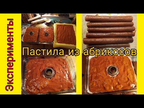 Видео: Пастила из абрикосов без варки в сушилке и без. Сушим пастилу на разных поверхностях. Эксперименты.