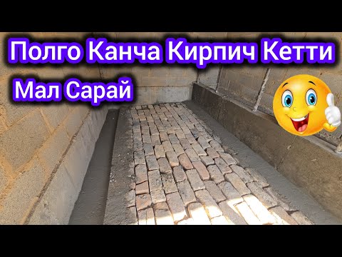 Видео: Мал Сарайга Полуна Кирпич тизип Бүттүк 4.50 мт ге 1.50 мт Канча шт Кетти #байкж 