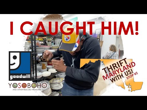 Видео: Наконец-то я его поймал! 🕺🏾 Приезжайте к нам в благотворительный магазин Goodwills в Мэриленде, н...