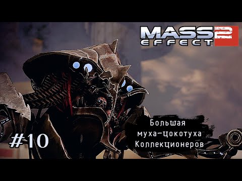 Видео: БОЛЬШАЯ МУХА-ЦОКОТУХА КОЛЛЕКЦИОНЕРОВ ➤ Mass Effect 2 #10