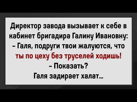 Видео: Как Галя Директора Шокировала! Сборник Анекдотов! Юмор!