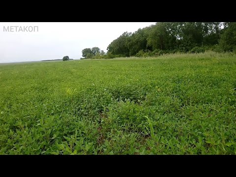 Видео: Приезжаешь в такие дали, а что толку! Красота да и только. металлокоп.