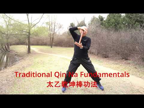 Видео: Основы Чин На – фундаментальная тренировка для начинающих #боевыеискусства #кунгфу #китайскаякуль...