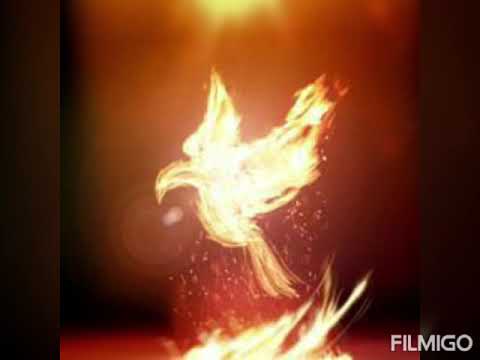 Видео: Фани-Святи дух Ела тук