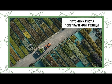 Видео: КАК СОЗДАТЬ ПИТОМНИК С НУЛЯ |ЗЕМЛЯ|ФИНАНСЫ|СЕЯНЦЫ|