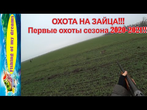 Видео: ОХОТА НА ЗАЙЦА!!!Первые охоты сезона 2020-2021!!!Нарезка моментов!!!