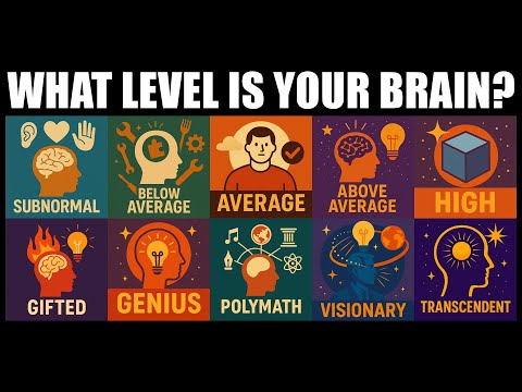 Видео: Все уровни интеллекта объяснены за 20 минут
