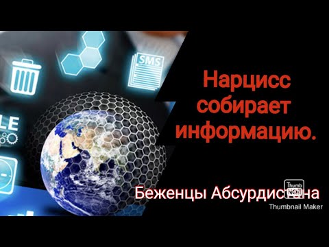 Видео: Нарциссы собирают информацию