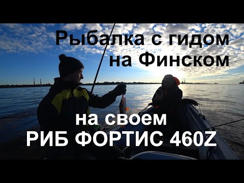 Видео: Рыбалка с гидом на Финском заливе - БЕШЕНЫЙ клёв судака!