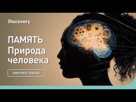 Видео: Память | Природа человека | Discovery