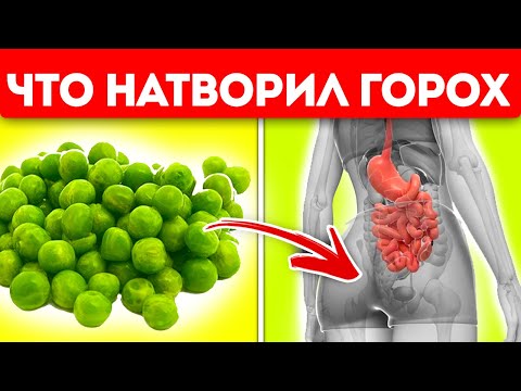 Видео: Что вытворяет горох с нашим организмом? Польза и вред гороха