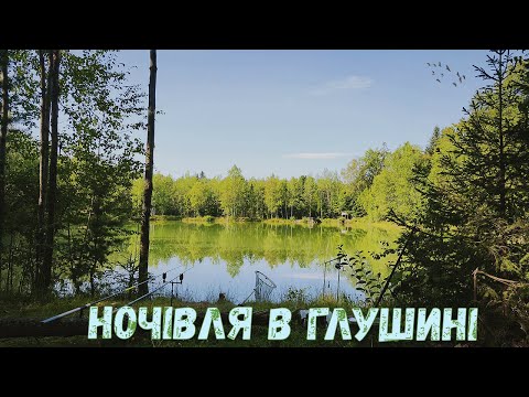 Видео: Рибалка в дикому лісі. Відпочинок з ночівлею. Смакота на мангалі.