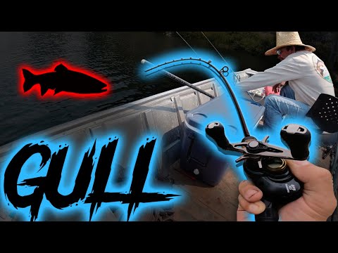 Видео: Осенняя рыбалка на форель на озере Чаек с дядей Э.