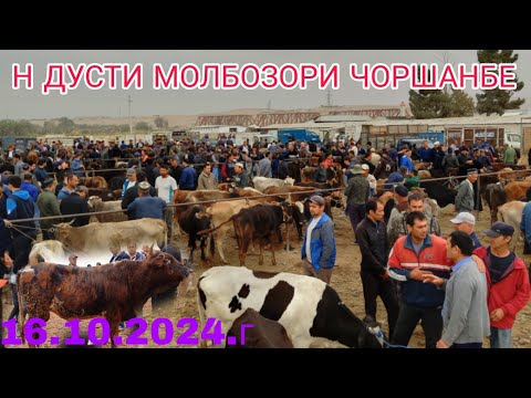 Видео: НОХИЯИ ДУСТИ ЧОРШАНБЕ МОЛБОЗОР 16.10.2024.г