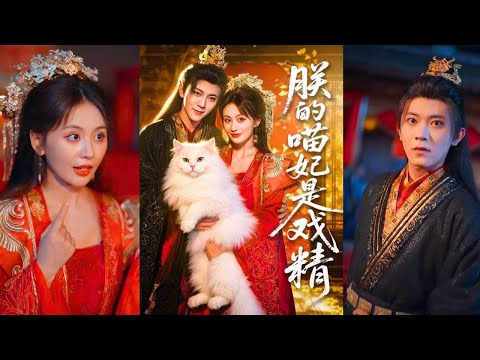 Видео: Милая и свирепая кошачья фея против жестокого императора: он ищет смерти, она исцеляет его!