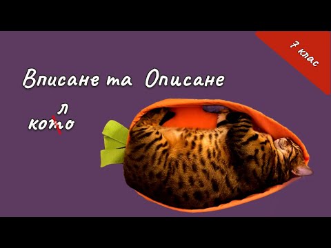 Видео: Геометрія 7 клас - Вписане та Описане коло трикутника. #нмтматематика  #геометрія  #нмт #математика