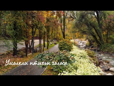 Видео: Умолкли птичьи голоса... | Мужское трио | Autumn song 🍁