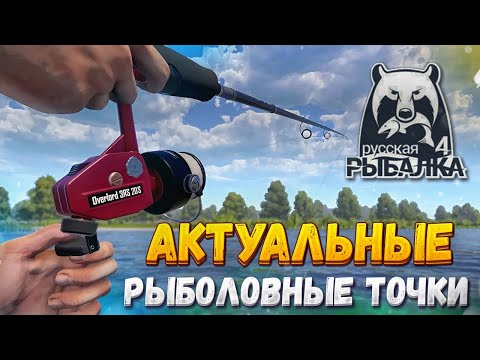 Видео: ТЫ 100% ЗАКРОЕШЬ ТРОФЕЙ КАРАСЯ!!! 53:87 оз. Комариное РР4 «Актуальные рыболовные точки»