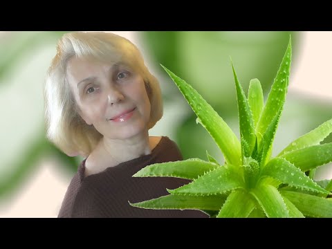 Видео: Больше ни один волос не упадет с головы! Уникальная маска с алоэ (aloe)