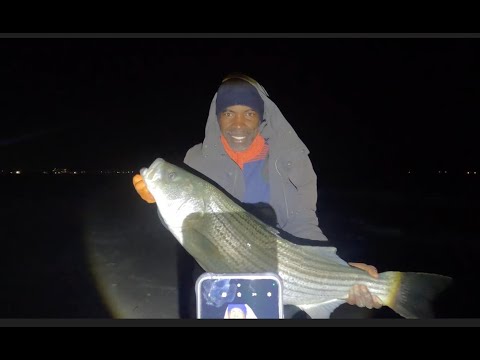 Видео: Эпическое приключение на полосатого окуня