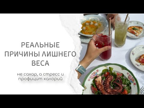 Видео: Реальные причины лишнего веса | профицит калорий и стресс | образ жизни