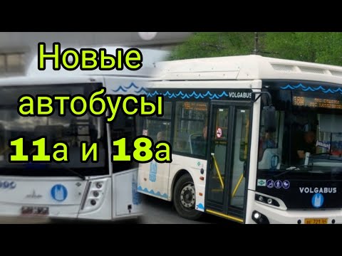 Видео: 💥 ОБЗОР НА НОВЫЕ АВТОБУСЫ ПО БРУТТО-КОНТРАКТАМ 18А И 11А