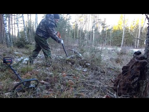 Видео: Разведка новых мест. Рельсы, траки, балансиры. МЕТАЛЛОКОП 24 ноября 2024 г.