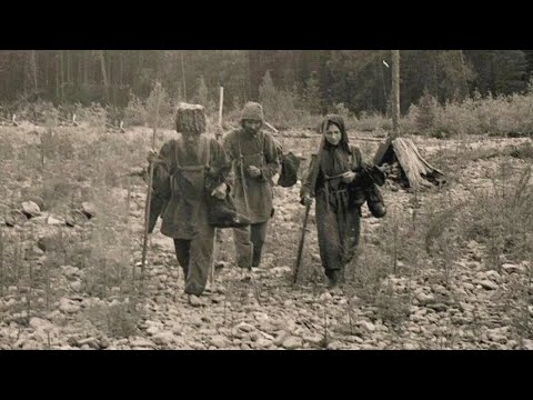Видео: Они жили в лесу более 40 лет. Что стало с семьёй отшельников Лыковых...