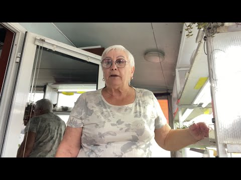 Видео: Сколько же лет хранятся семена томатов? Пополнение моей коллекции.