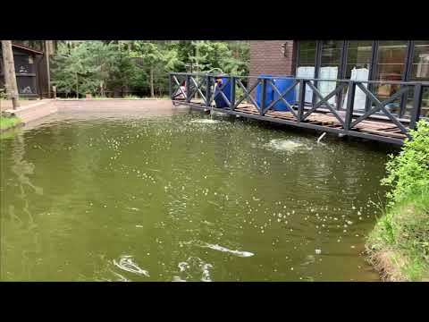 Видео: Ставить барабанный фильтр в пруд?Нет,не стоит