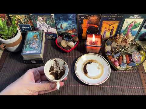 Видео: Чашка дня‼️