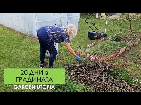 Видео: 20 ДНИ в ГРАДИНАТА: Косене, дробене, подхранване с ЖЕЛЯЗО