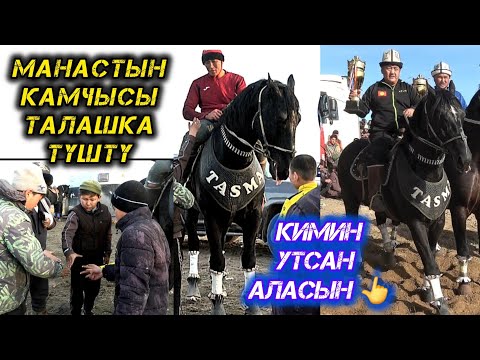 Видео: Тасма кайрадан мыкты аргымак аталды 👆