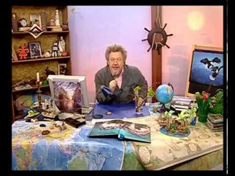 Видео: География 22. Следствия вращения Земли — Академия занимательных наук