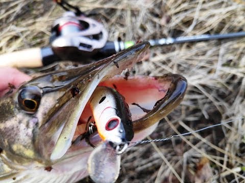 Видео: Тест на воде катушка Lurestar BLADE и удилище SHARP WEAPON 662ML