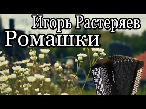 Видео: Игорь Растеряев- Ромашки/ НЕДОразбор/ На Баяне