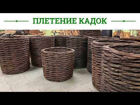 Видео: Русская ива. Мастер-класс. Плетение кадки из ивовой лозы.