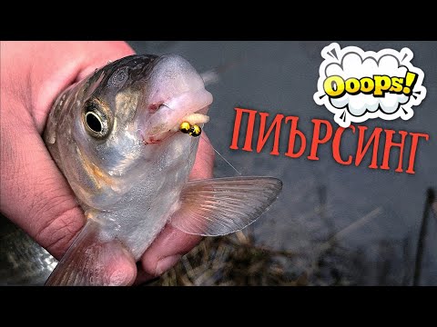 Видео: РАЗБИХ СКОБАРИТЕ. РИБОЛОВ на ПЛУВКА с МАНИСТО