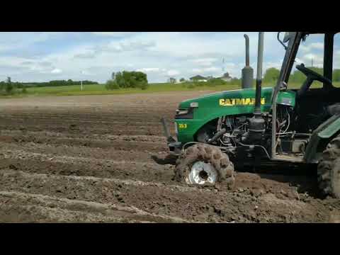 Видео: Не успела взойти,уже сгнила. CATMANN 35.3 в поле. Кукуруза не подвела.