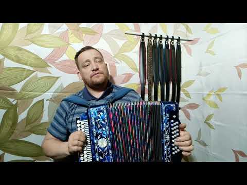 Видео: ЧЕРНЫЙ ВОРОН ПОД ГАРМОНЬ