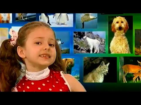 Видео: АБВГДейка 📚 Домашние животные 📖 Официальный канал