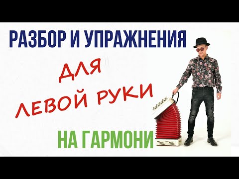 Видео: Гармонь . Левая рука . Разбор