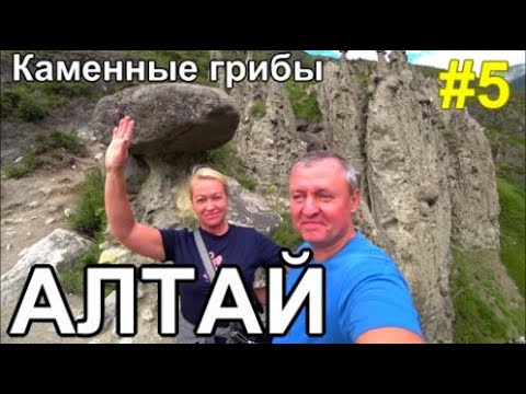 Видео: Алтай 2023 поход Каменные Грибы лучшие Базы Водопады долины