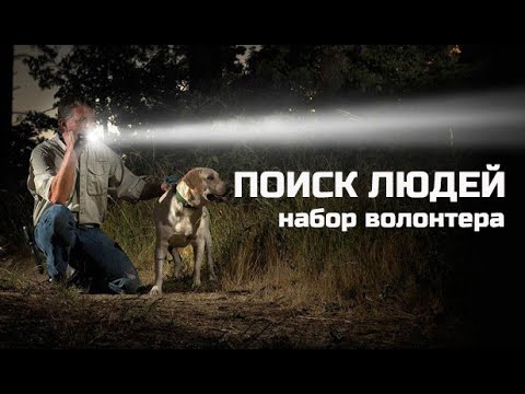 Видео: ПОИСК ПРОПАВШИХ ЛЮДЕЙ - набор снаряжения для волонтера