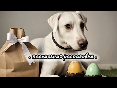 Видео: 🧁🐶Пасхальная распаковка с бумажной собакой. Новая бумажная собака. Новая коляска.✨💫