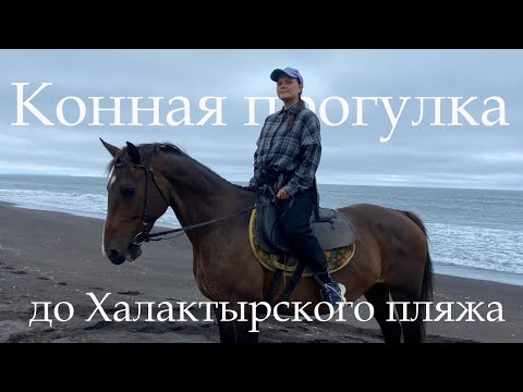 Видео: Камчатка | Конная прогулка на Халактырский пляж