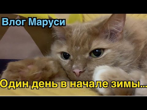 Видео: ПРОГУЛКА ПО ИКЕЕ | ВЛОГ МАРУСИ | Простой согревающий ужин