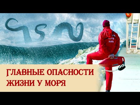 Видео: Главные опасности черноморского побережья