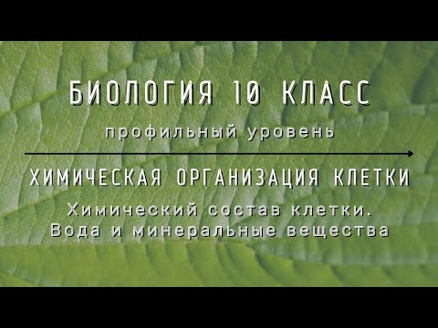 Видео: Биология 10 кл Проф уровень $6 Химический состав клетки. Вода и минеральные вещества